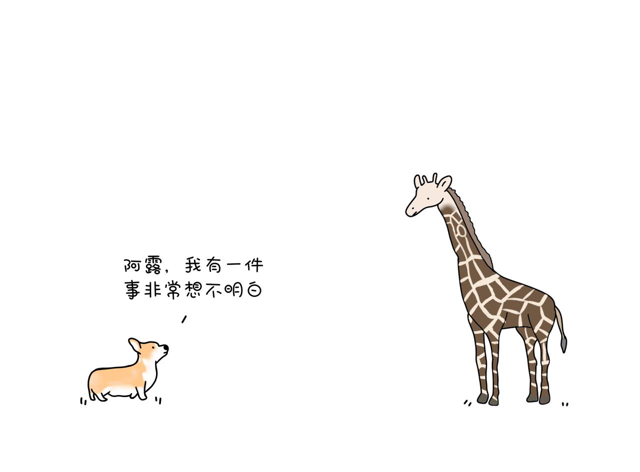 《动物联盟》你今天要吃掉我吗 第1页