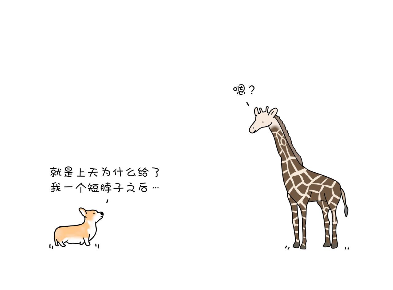 《动物联盟》你今天要吃掉我吗 第3页