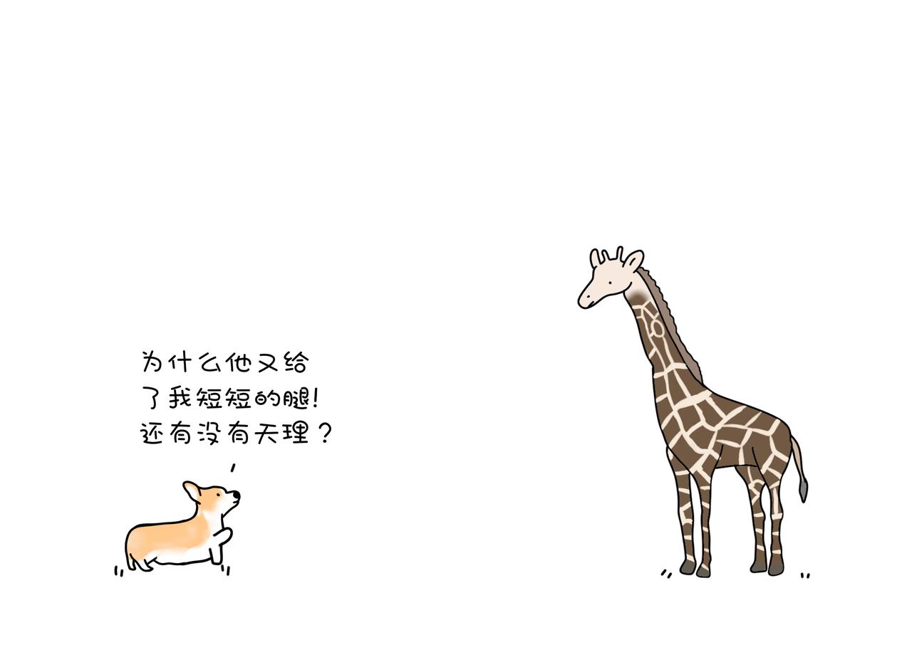 《动物联盟》你今天要吃掉我吗 第4页