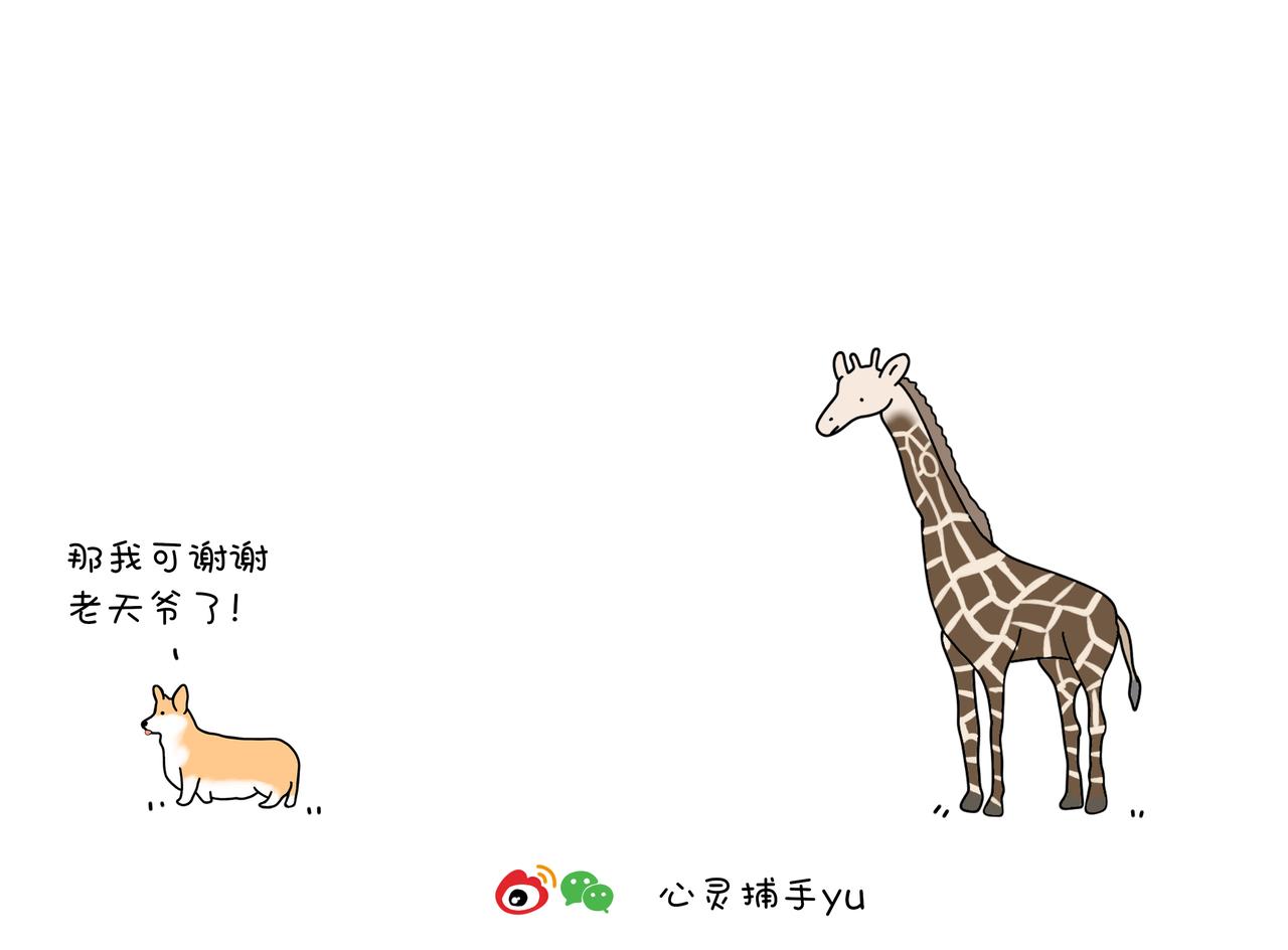 《动物联盟》你今天要吃掉我吗 第6页