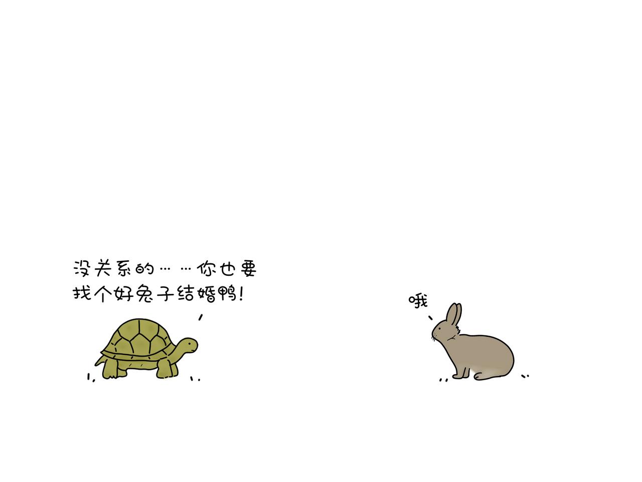 《动物联盟》保护野生动物 第14页