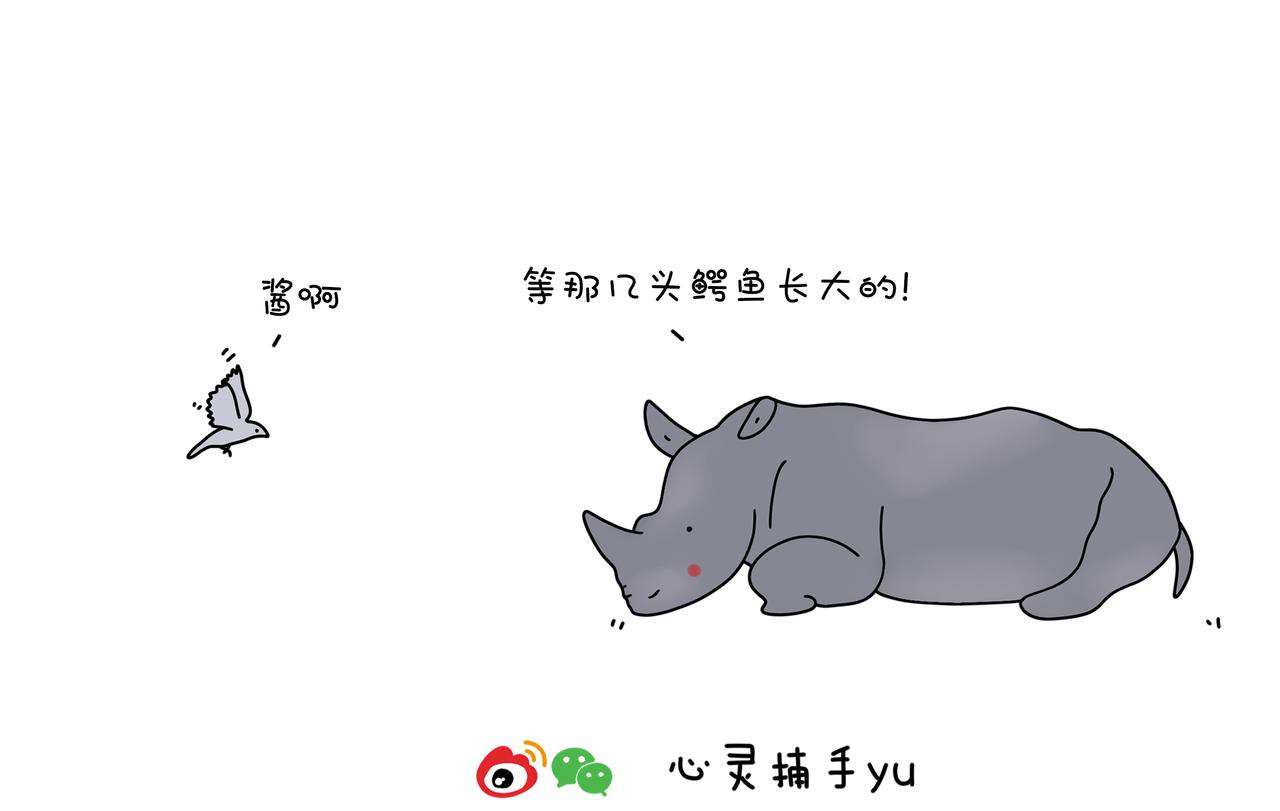 《动物联盟》保护野生动物 第17页