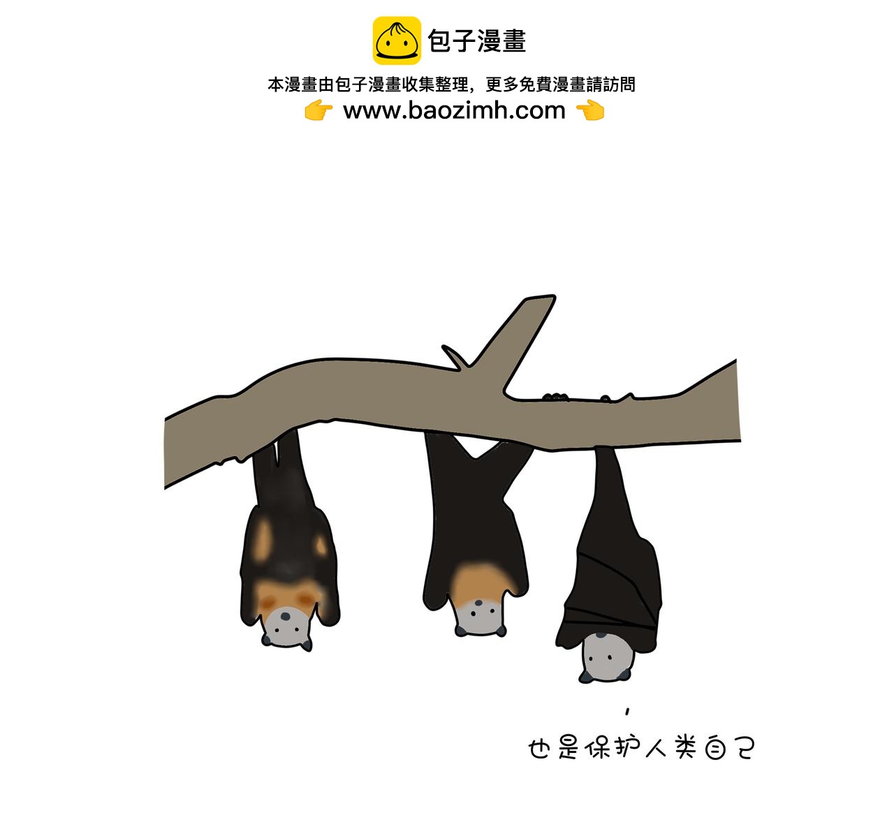 《动物联盟》保护野生动物 第26页