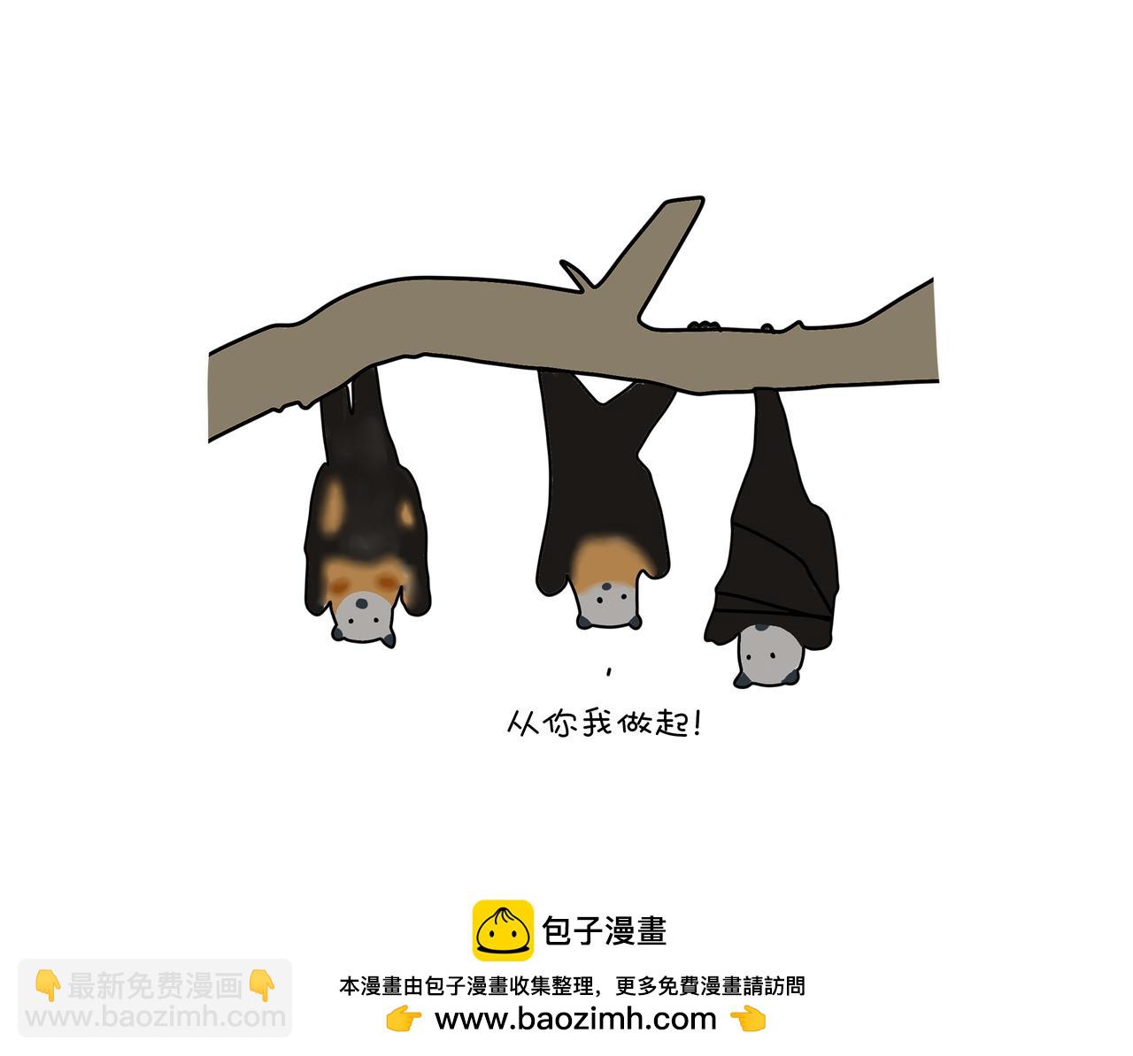 《动物联盟》保护野生动物 第27页