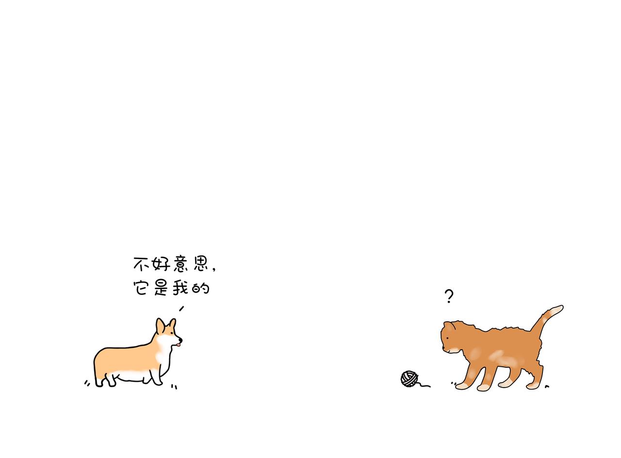 《动物联盟》保护野生动物 第6页