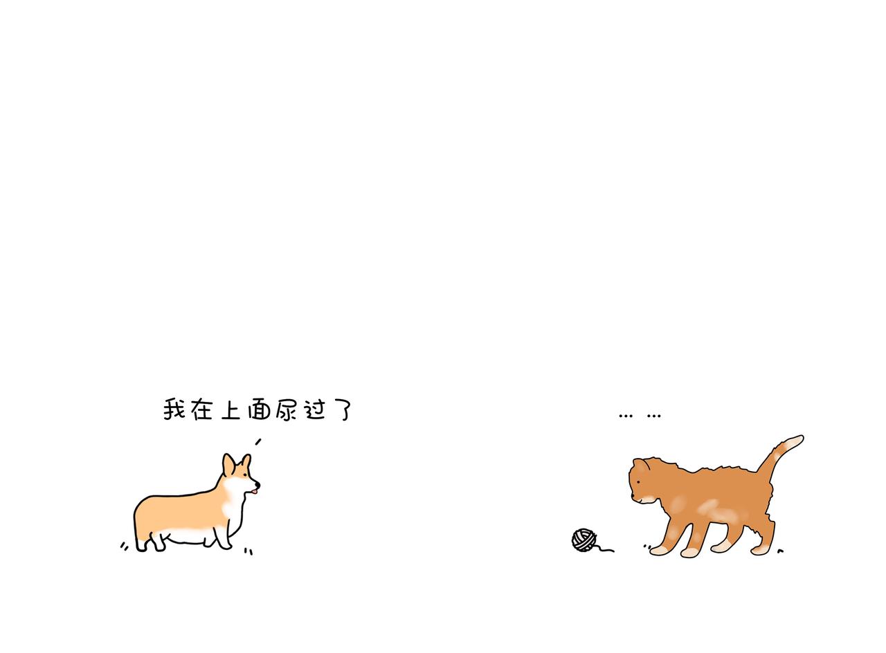《动物联盟》保护野生动物 第8页