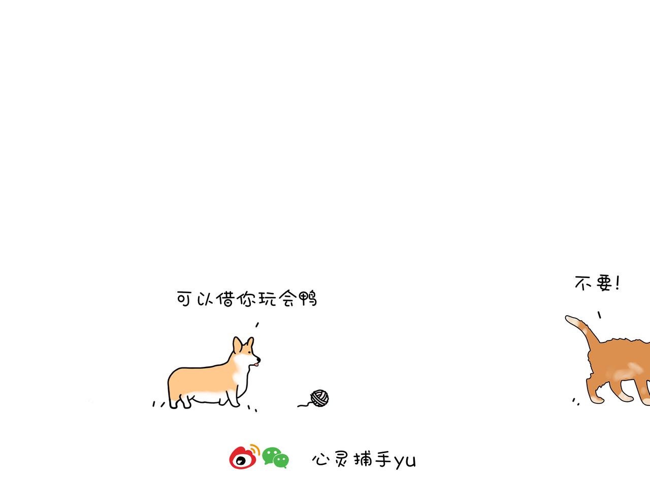 《动物联盟》保护野生动物 第9页