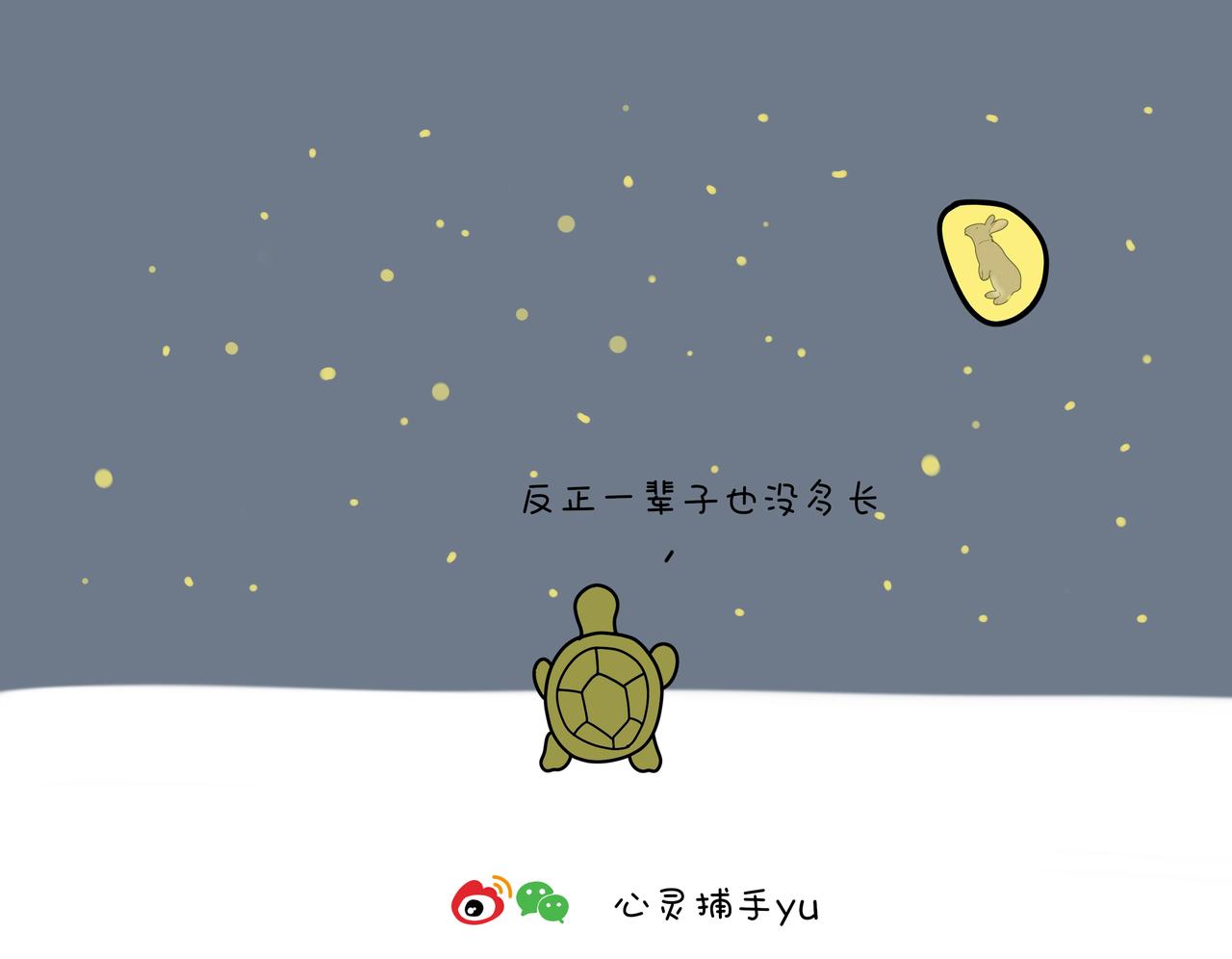 《动物联盟》你还记得我们第一次见面样子吗 第11页