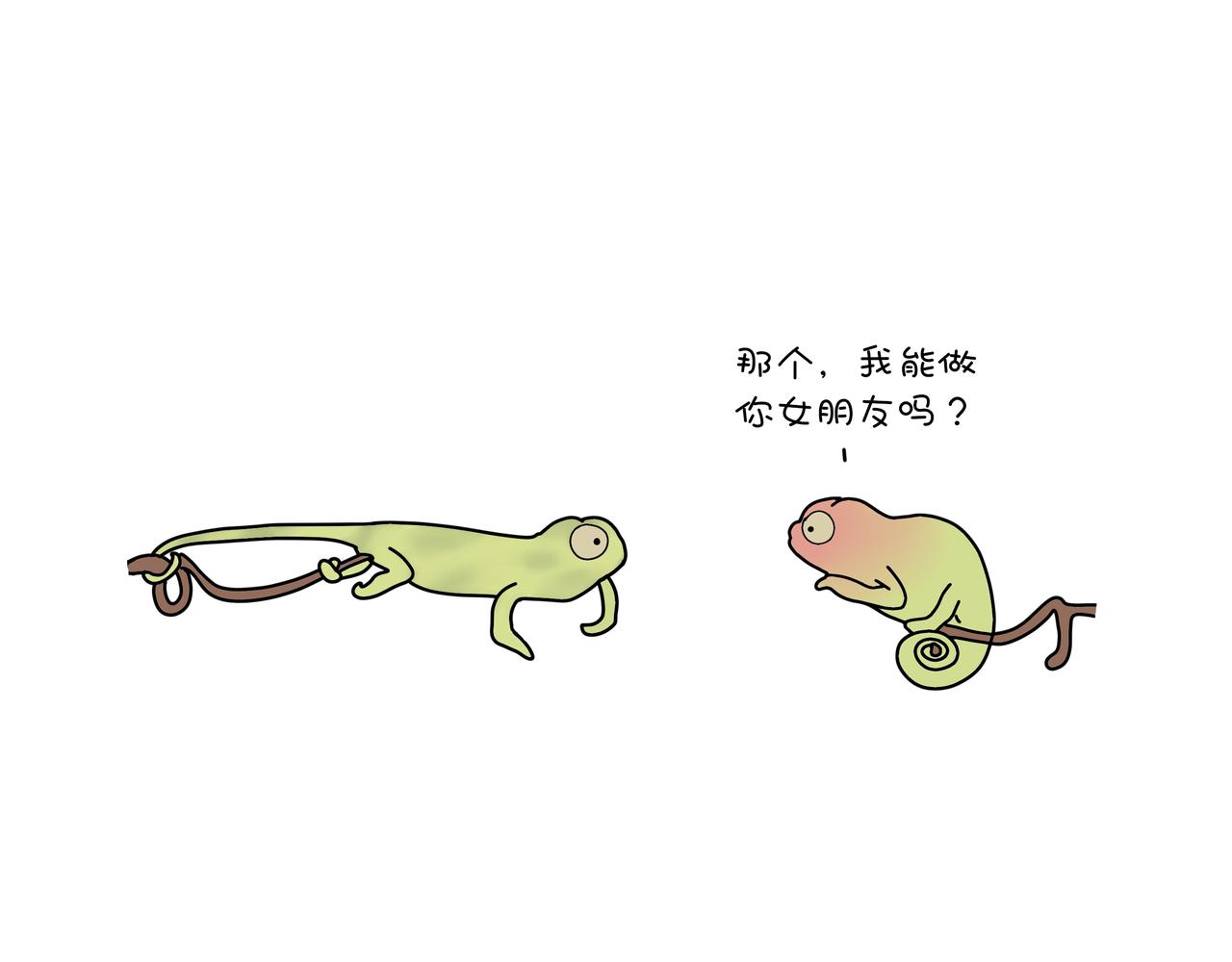 《动物联盟》你还记得我们第一次见面样子吗 第12页