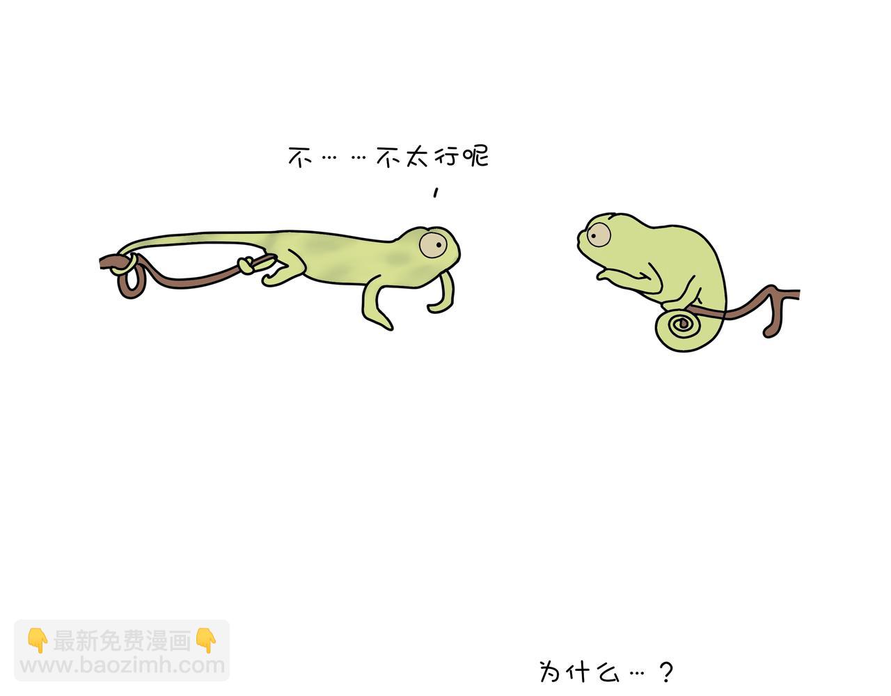 《动物联盟》你还记得我们第一次见面样子吗 第13页