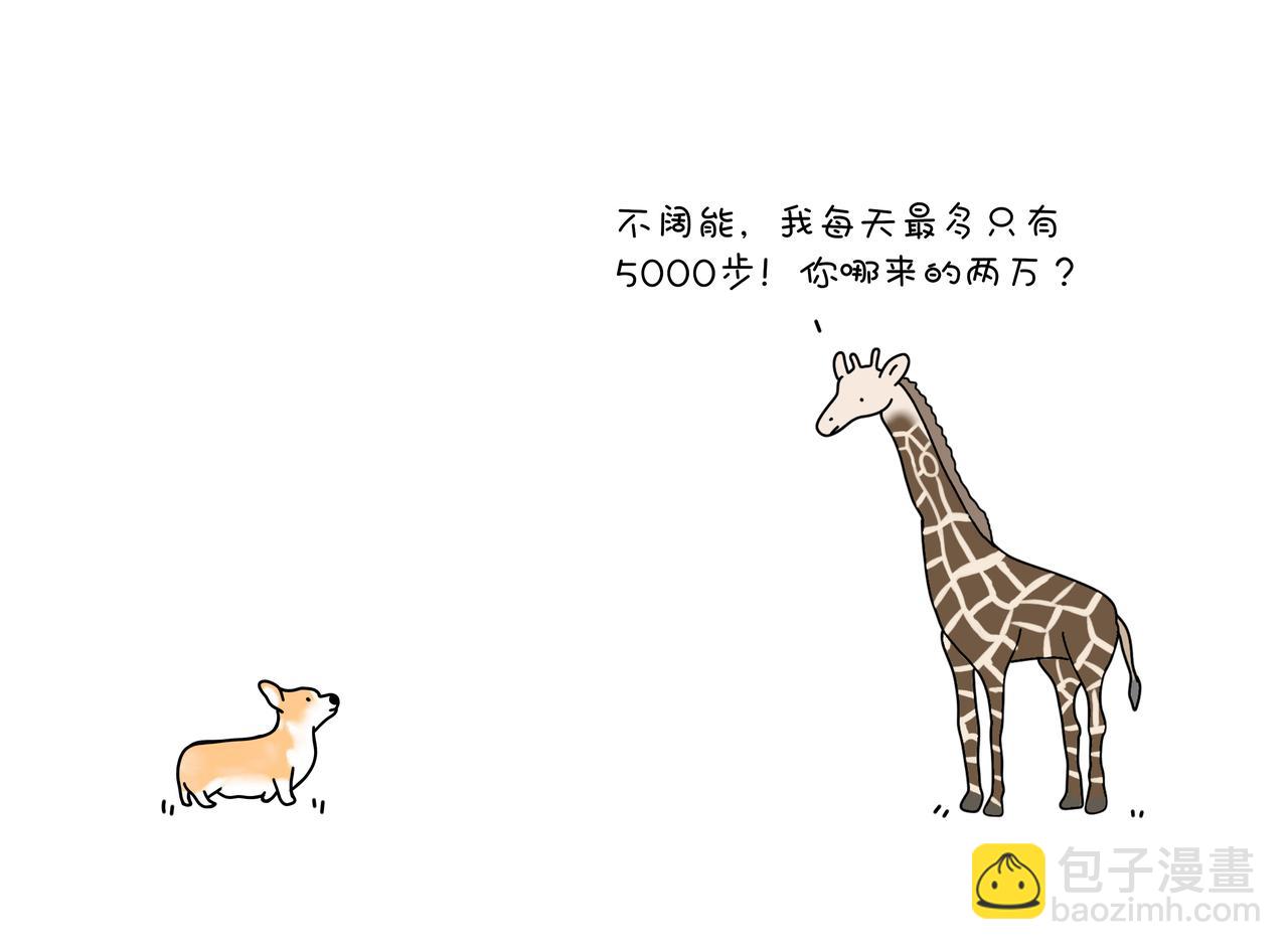 《动物联盟》你还记得我们第一次见面样子吗 第18页