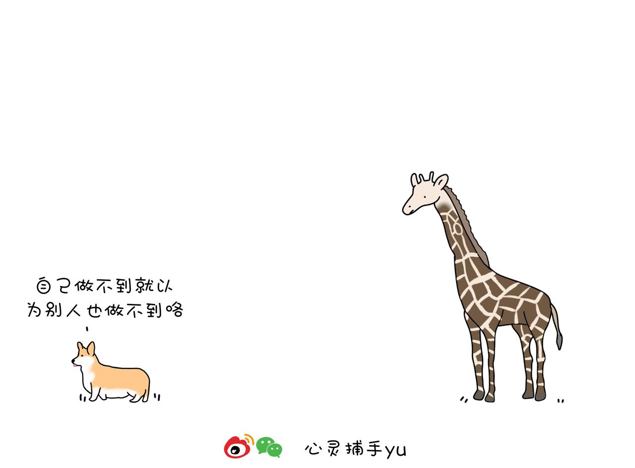 《动物联盟》你还记得我们第一次见面样子吗 第20页