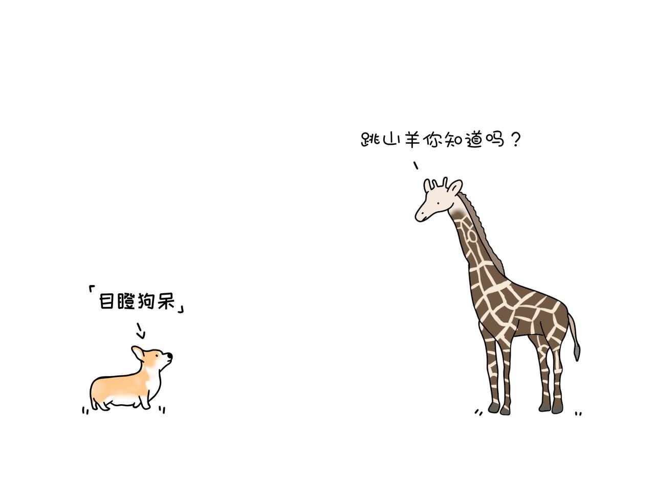 《动物联盟》你还记得我们第一次见面样子吗 第4页