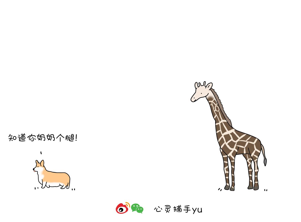 《动物联盟》你还记得我们第一次见面样子吗 第5页
