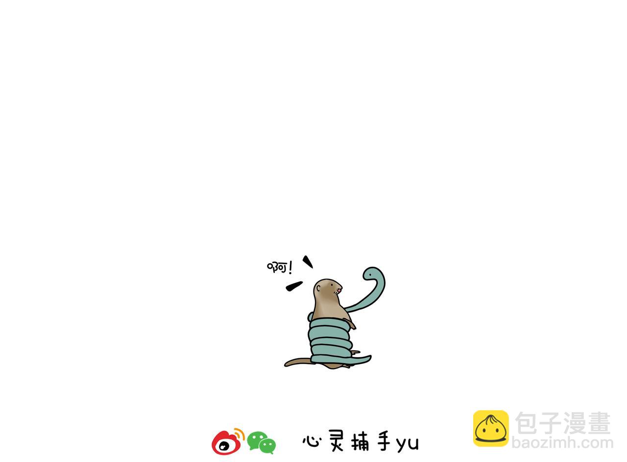 《动物联盟》都是我的菜 第11页