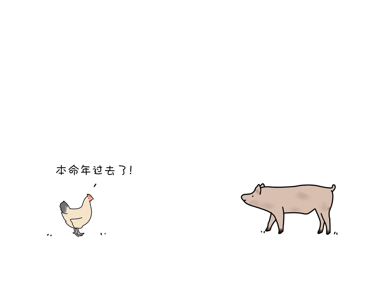 《动物联盟》都是我的菜 第14页