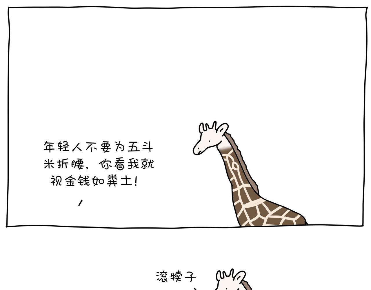 《动物联盟》都是我的菜 第3页