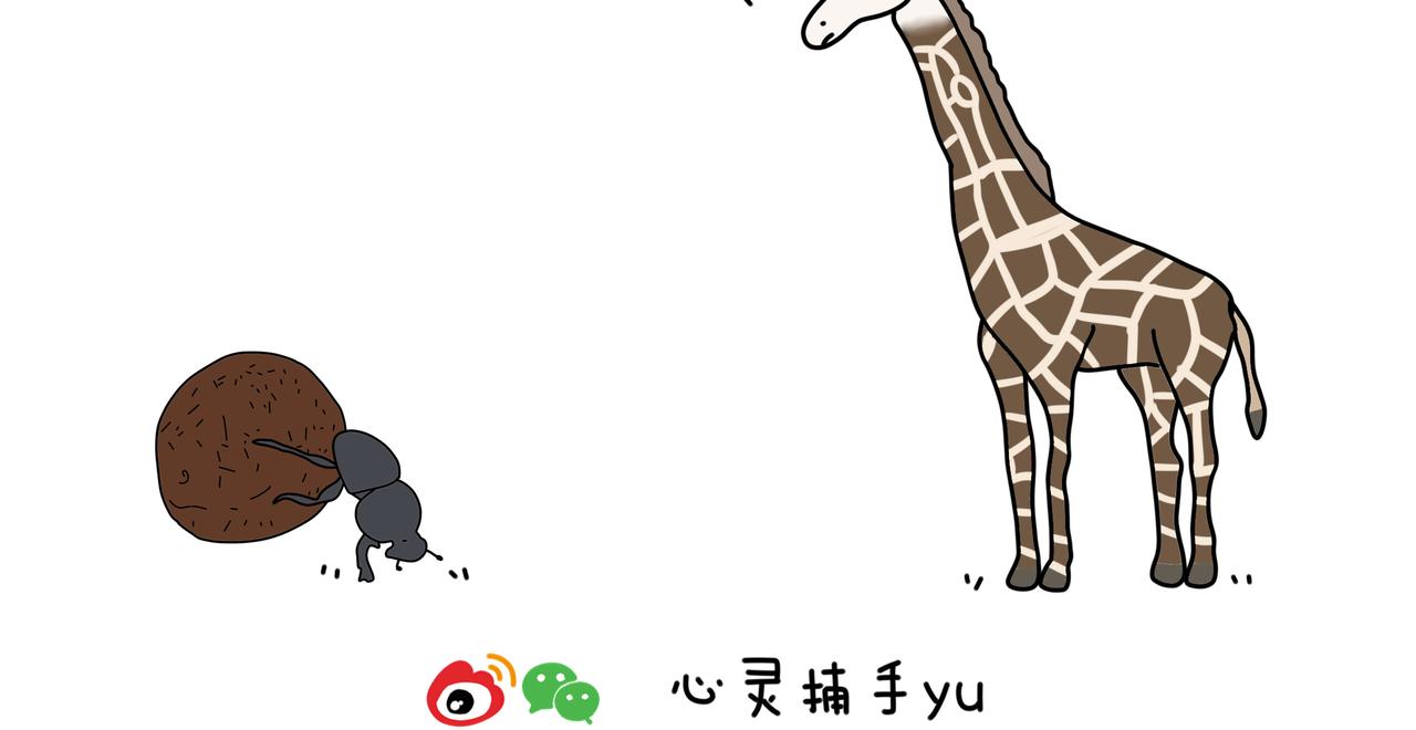 《动物联盟》都是我的菜 第4页