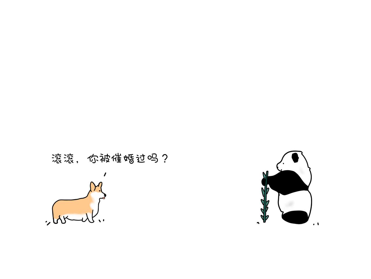 《动物联盟》今天你被催婚了吗 第15页