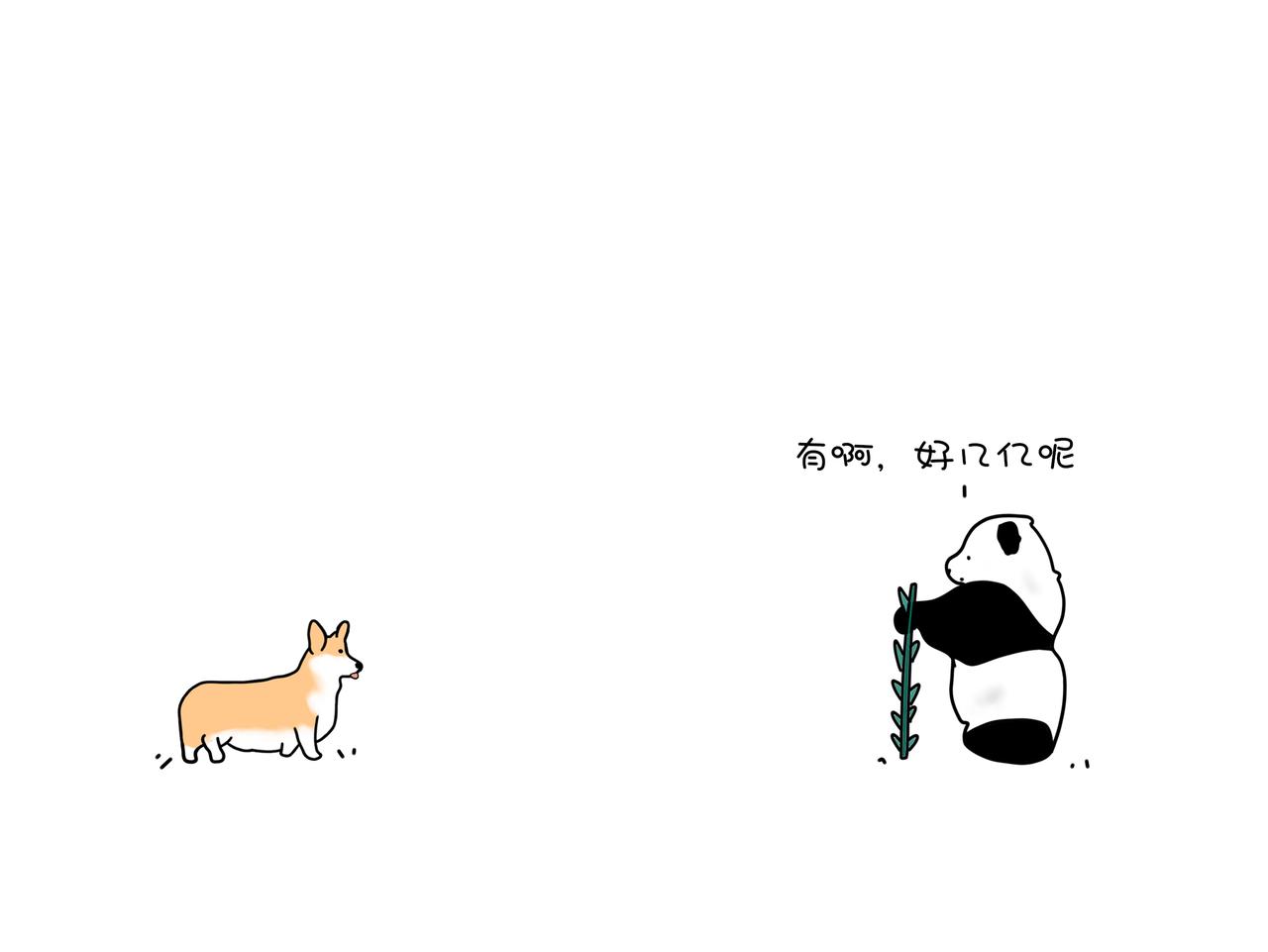 《动物联盟》今天你被催婚了吗 第16页