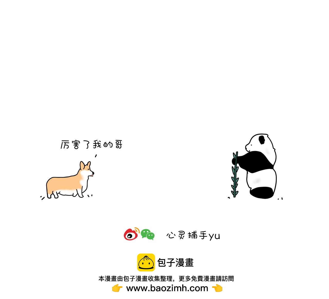 《动物联盟》今天你被催婚了吗 第17页