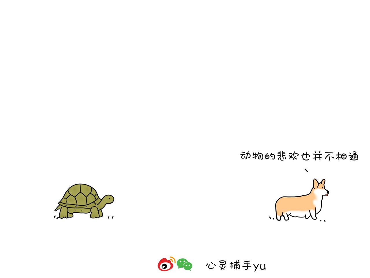 《动物联盟》今天你被催婚了吗 第6页