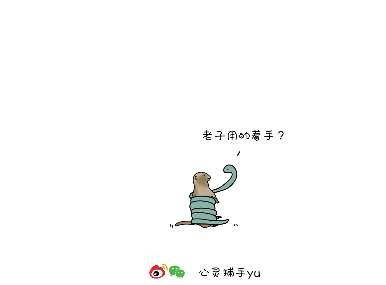 《动物联盟》以后不许吃野味了哦 第13页