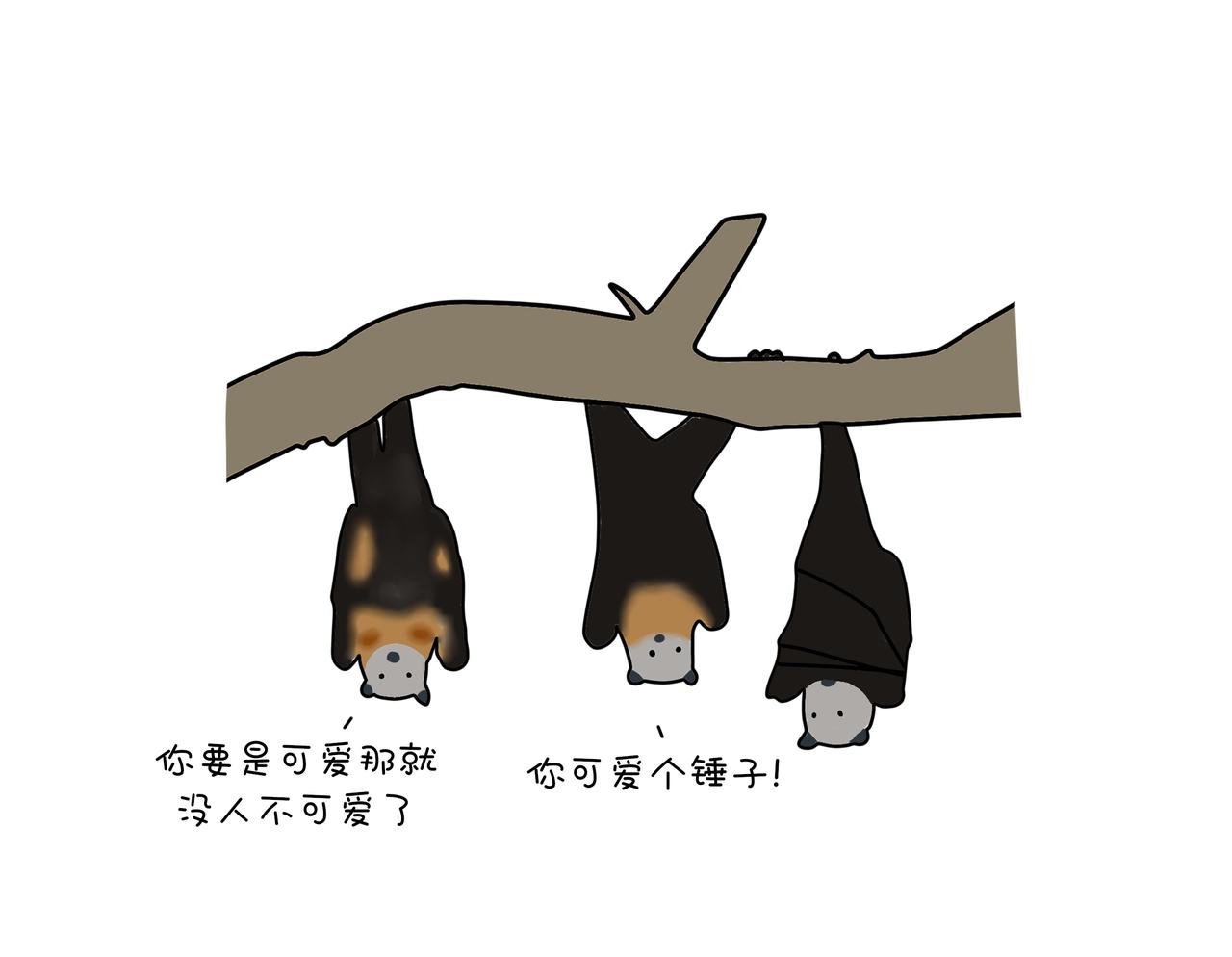 《动物联盟》以后不许吃野味了哦 第15页
