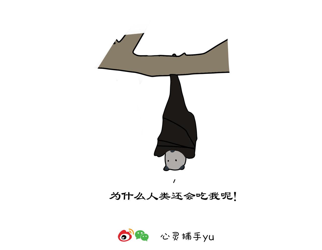 《动物联盟》以后不许吃野味了哦 第17页