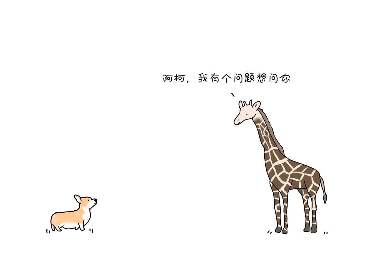 《动物联盟》月亮睡了你不睡 第10页