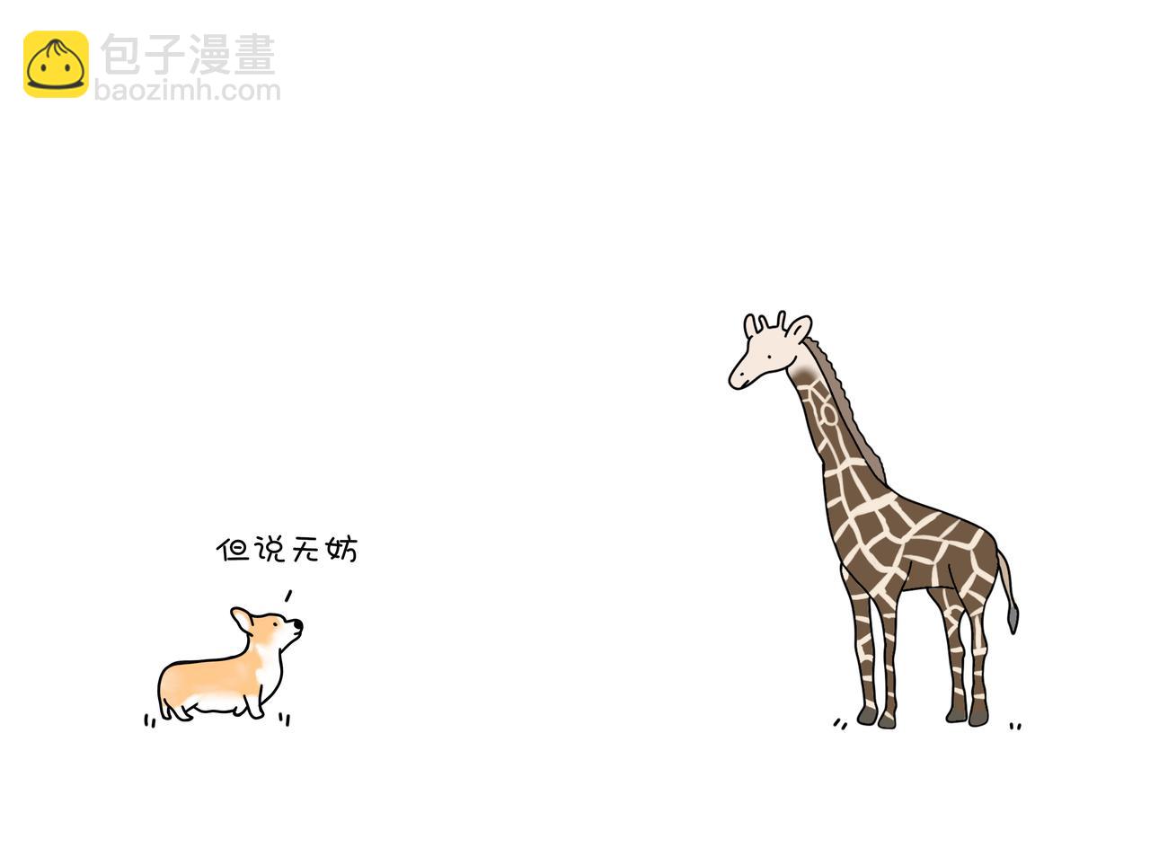 《动物联盟》月亮睡了你不睡 第11页