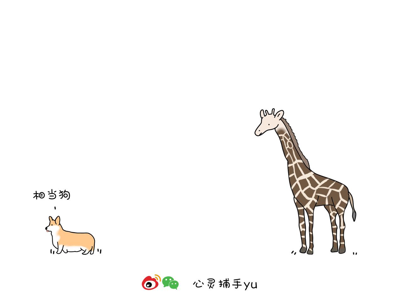 《动物联盟》月亮睡了你不睡 第14页