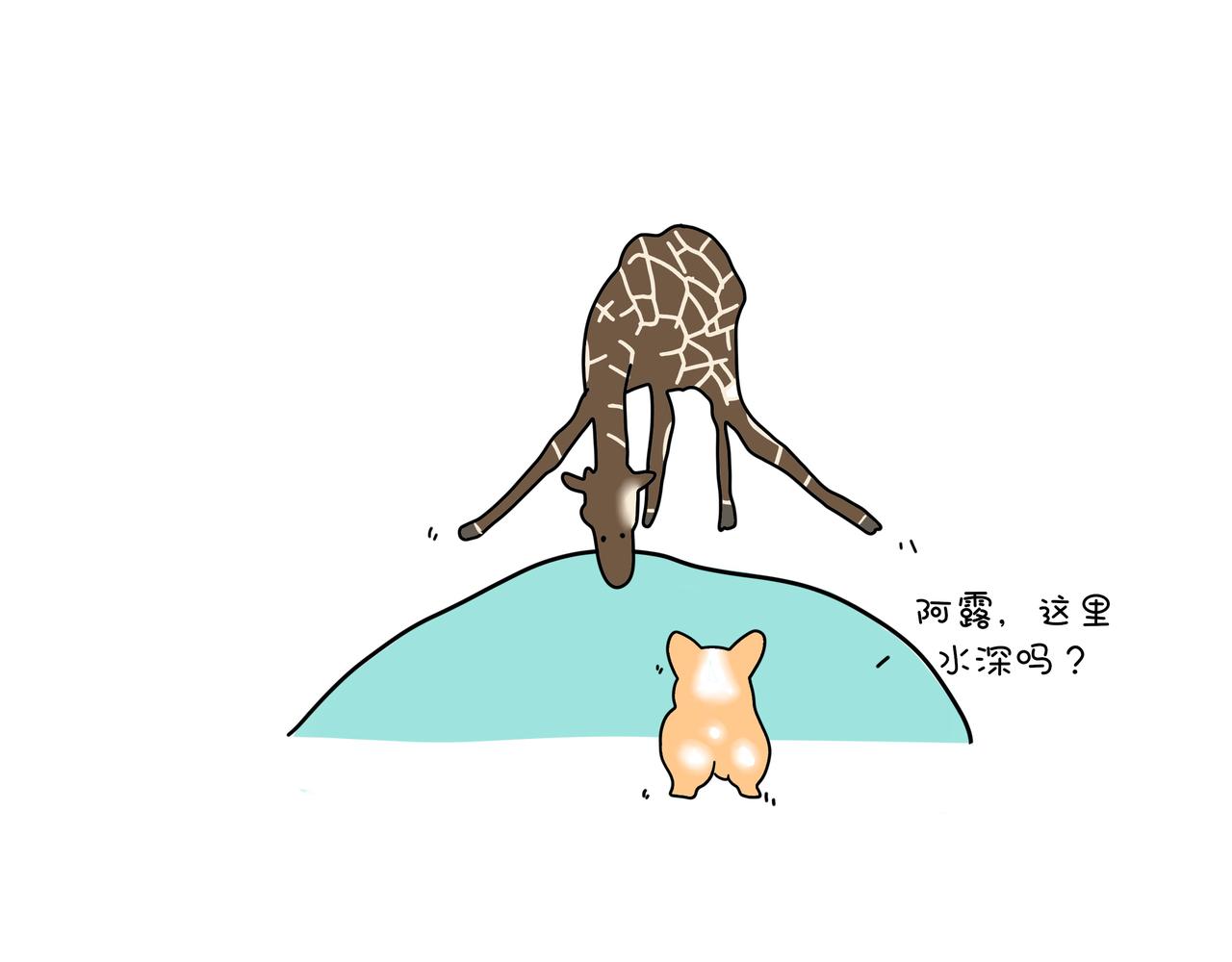 《动物联盟》月亮睡了你不睡 第15页