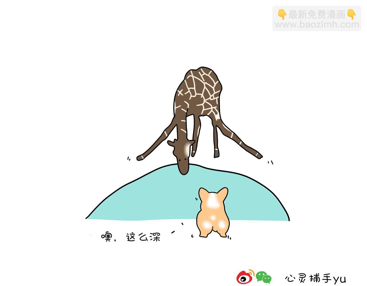 《动物联盟》月亮睡了你不睡 第19页