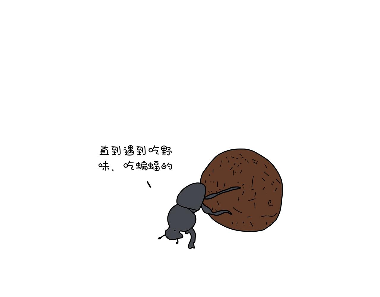 《动物联盟》月亮睡了你不睡 第29页