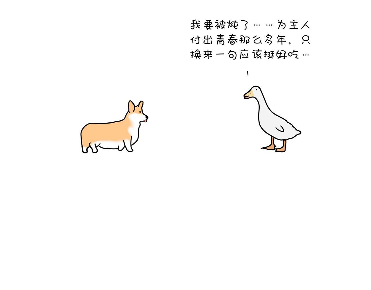 《动物联盟》月亮睡了你不睡 第6页