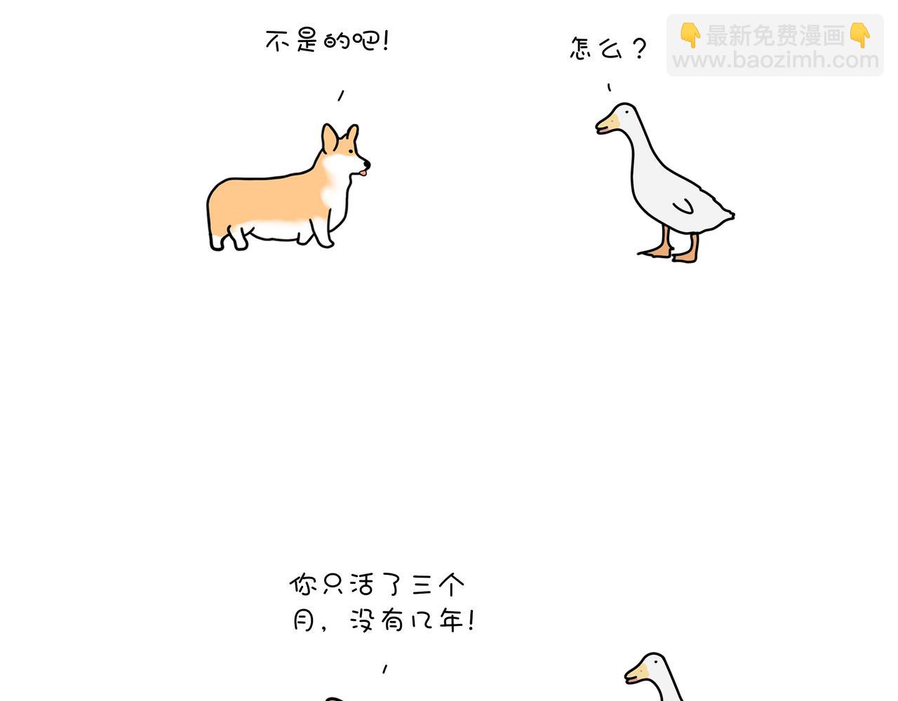 《动物联盟》月亮睡了你不睡 第7页