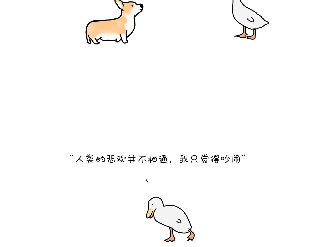 《动物联盟》月亮睡了你不睡 第8页