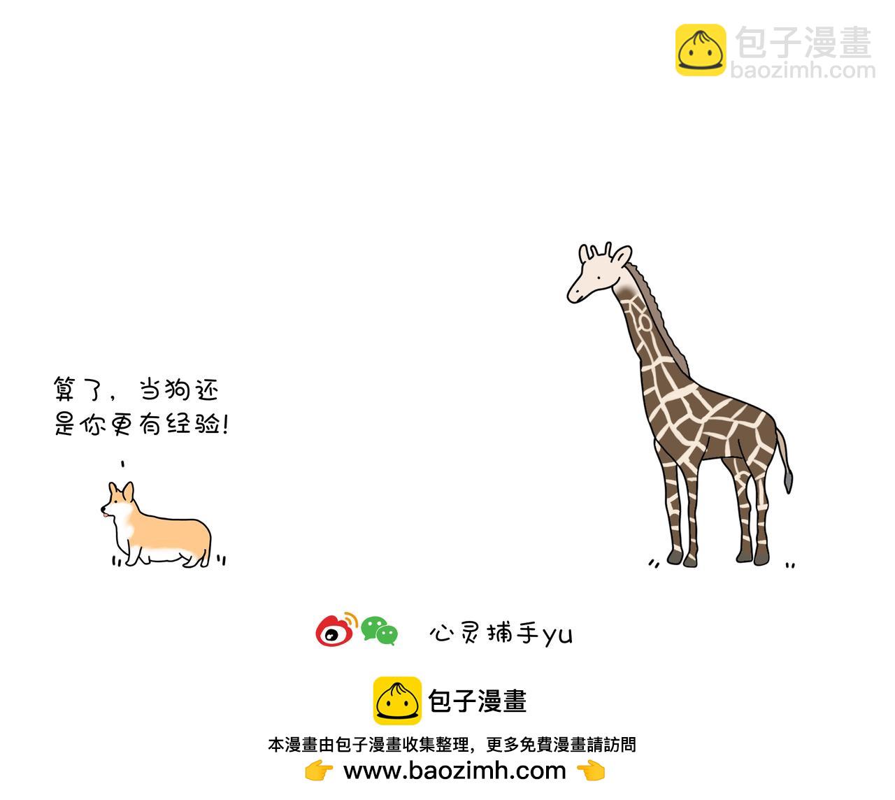 《动物联盟》根本没有抵抗力 第35页