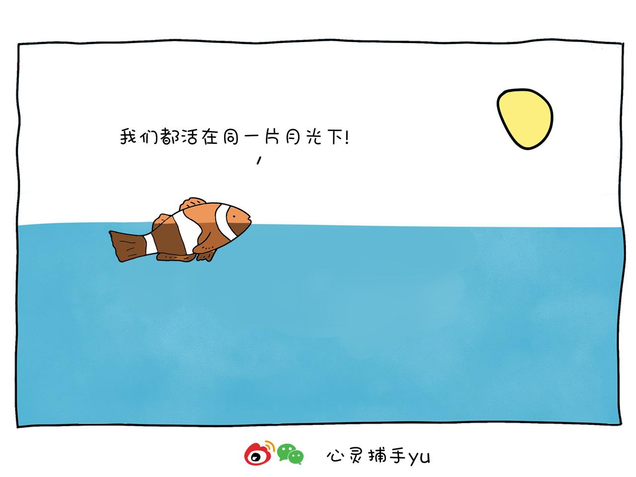 《动物联盟》不是每一条鱼都活在同一片海里 第6页