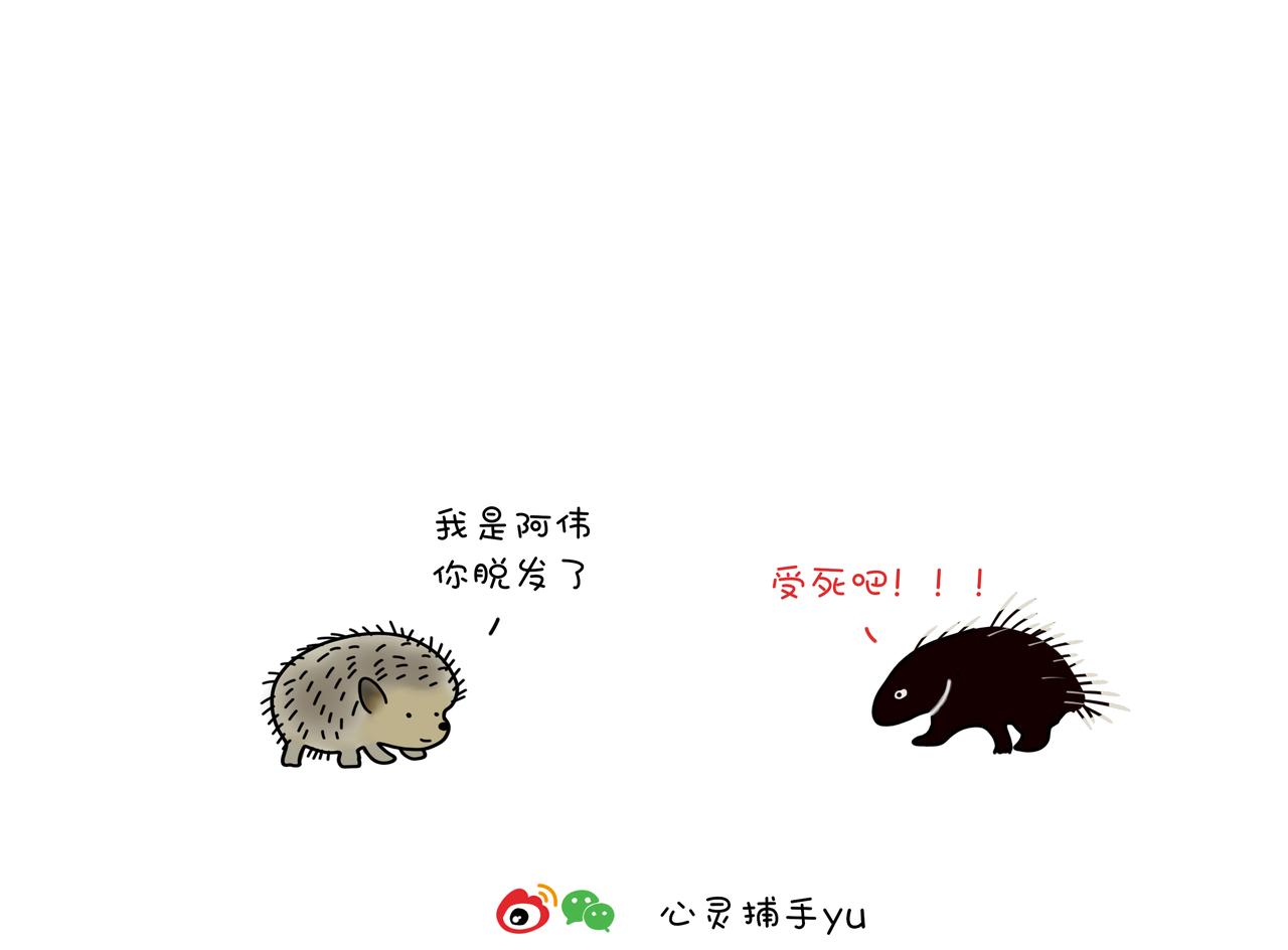 《动物联盟》陪伴是最长情的告白 第10页
