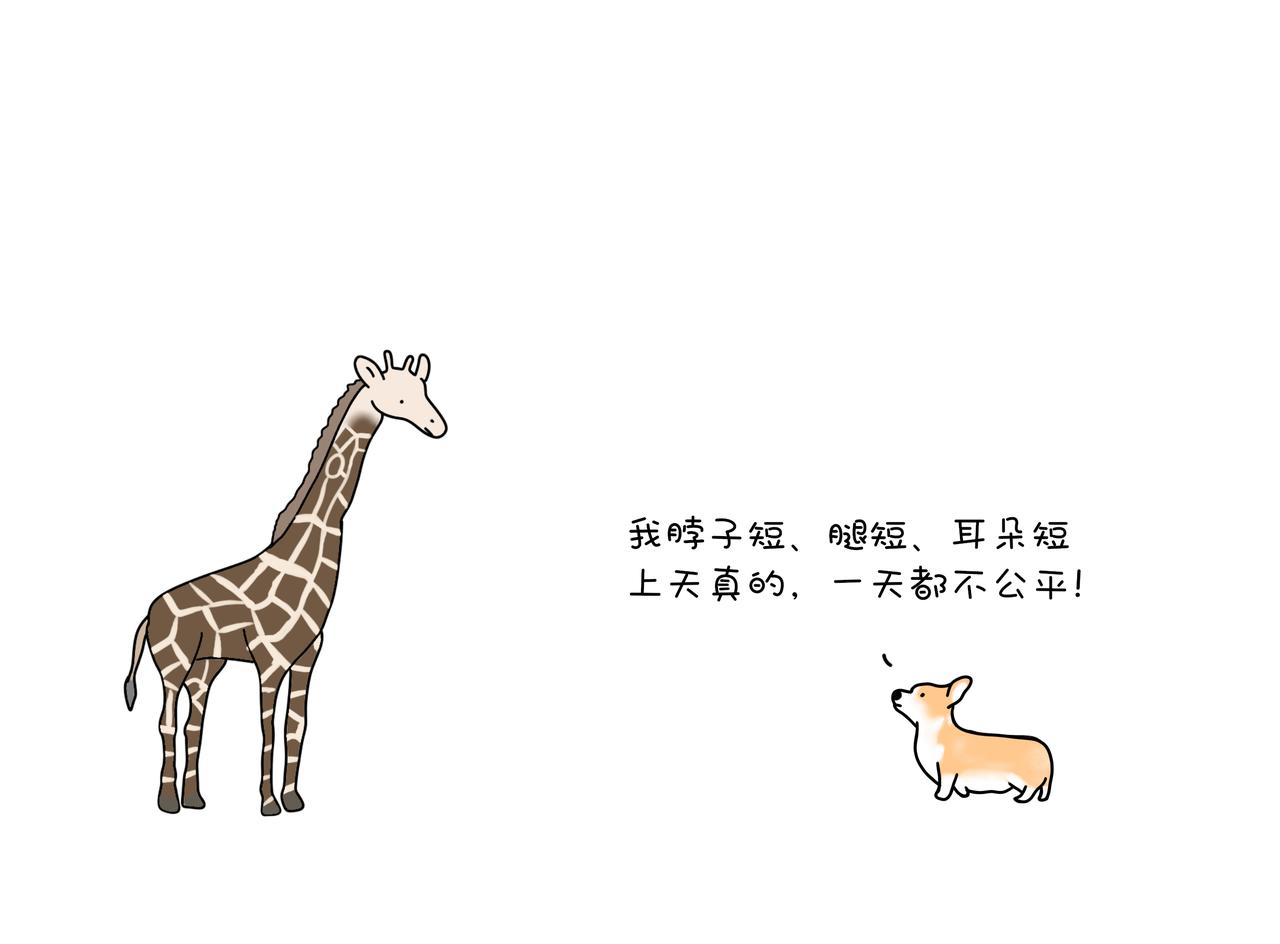 《动物联盟》陪伴是最长情的告白 第1页