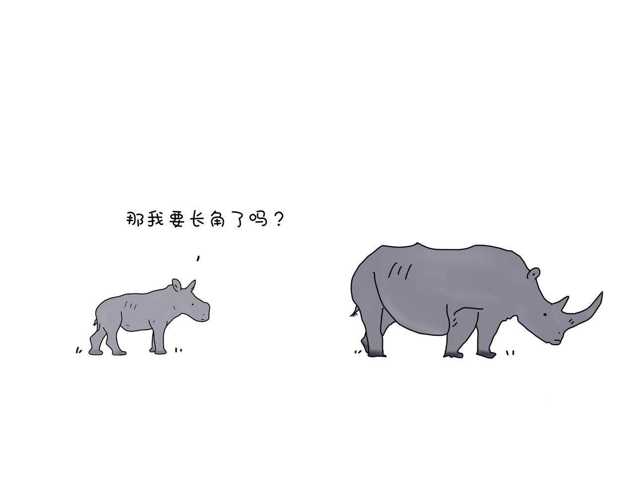 《动物联盟》陪伴是最长情的告白 第25页