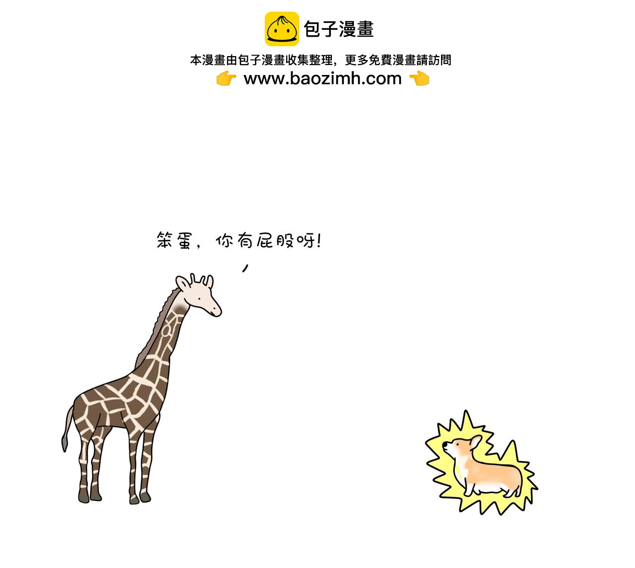 《动物联盟》陪伴是最长情的告白 第2页