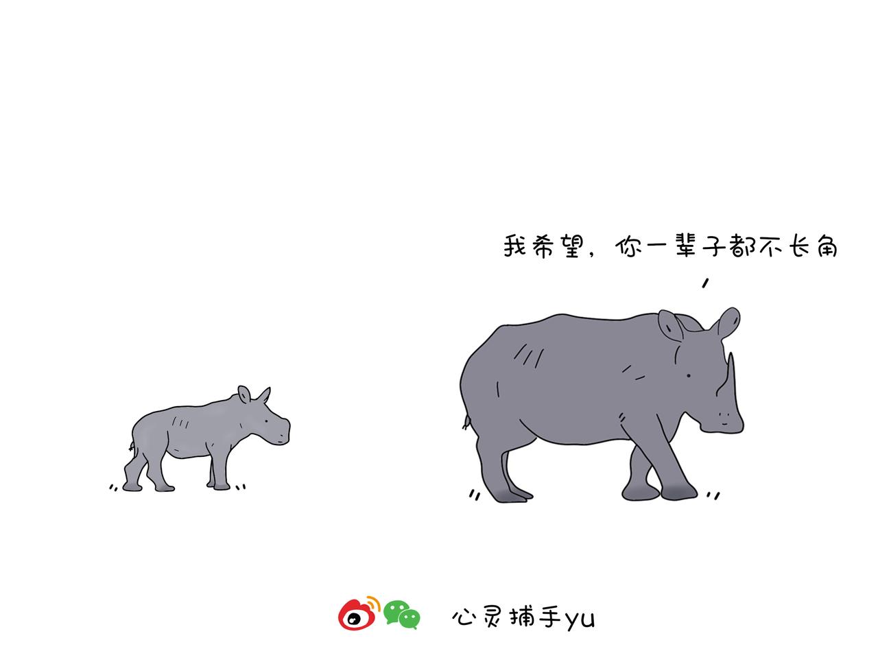 《动物联盟》陪伴是最长情的告白 第31页