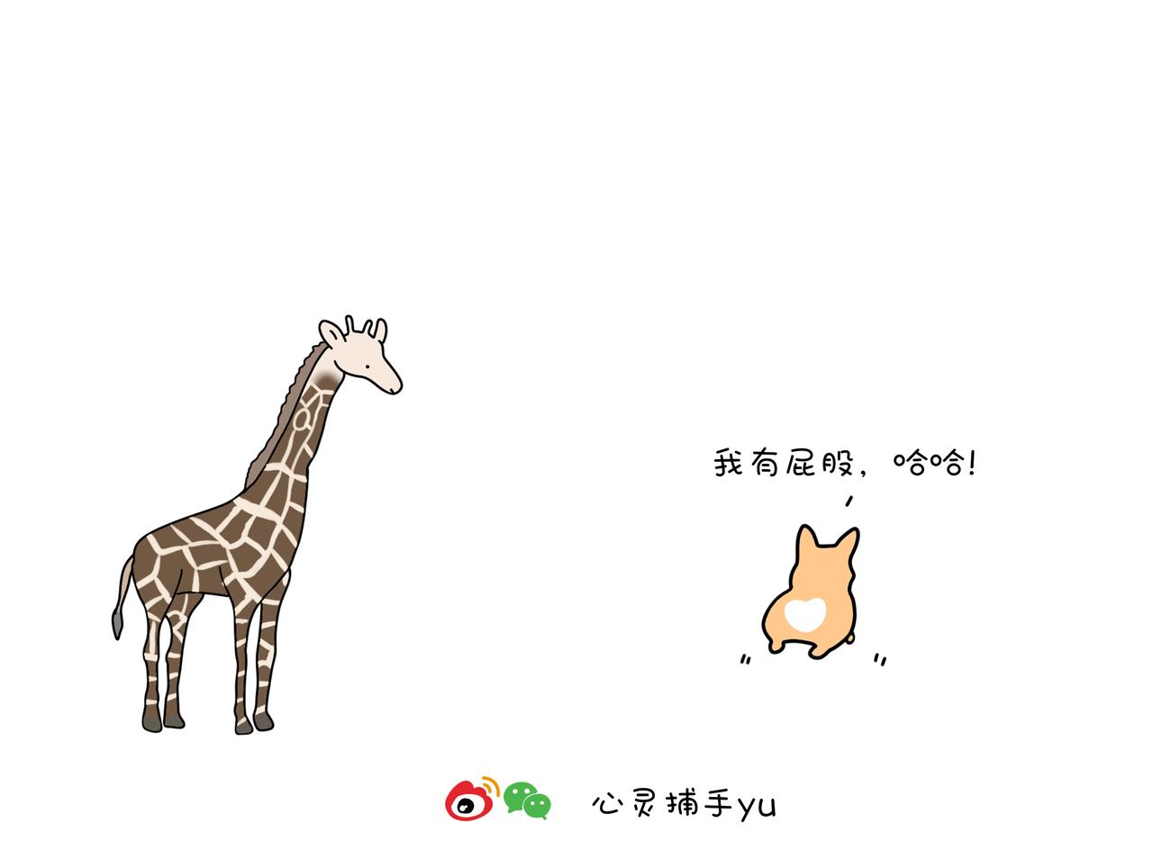 《动物联盟》陪伴是最长情的告白 第4页