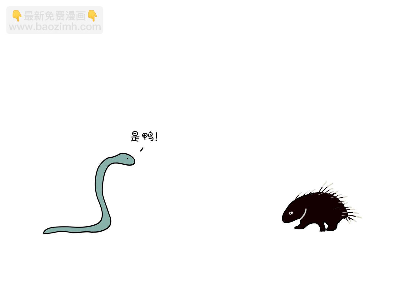 《动物联盟》陪伴是最长情的告白 第6页