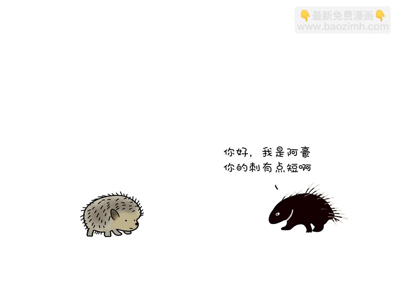 《动物联盟》陪伴是最长情的告白 第9页