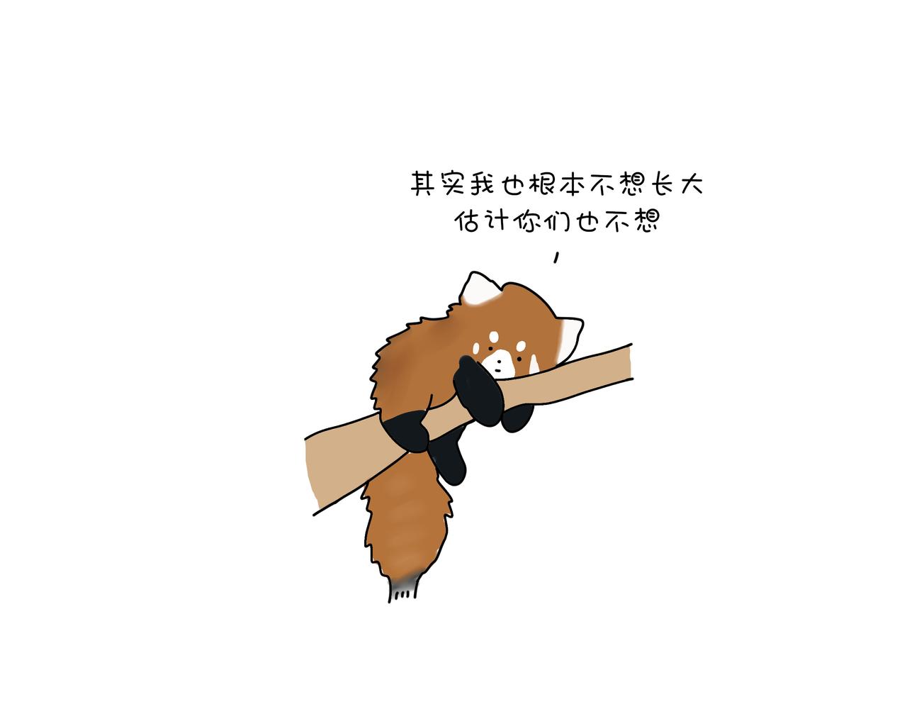 《动物联盟》有共同语言 第25页