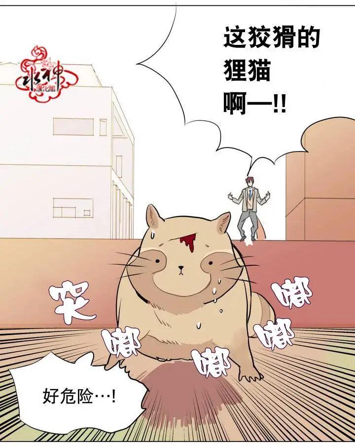 《花道士》第17回 第21页